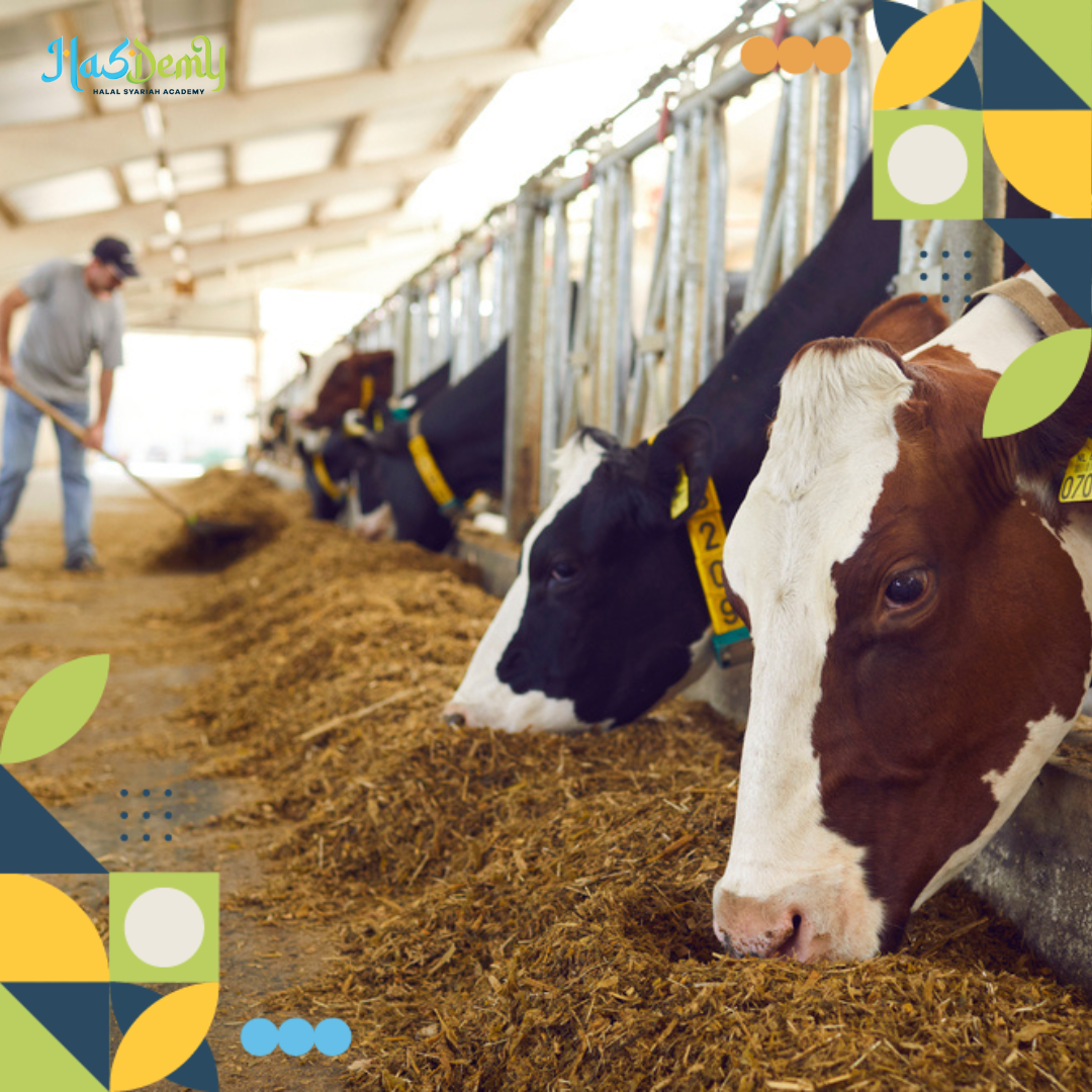 Modal Jadi Juru Sembelih Halal yang Profesional, Biar Makin Terampil dan Berkualitas